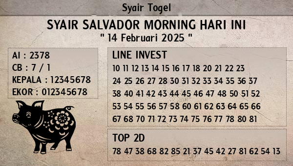 Prediksi Salvador Morning