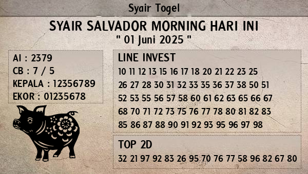 Prediksi Salvador Morning